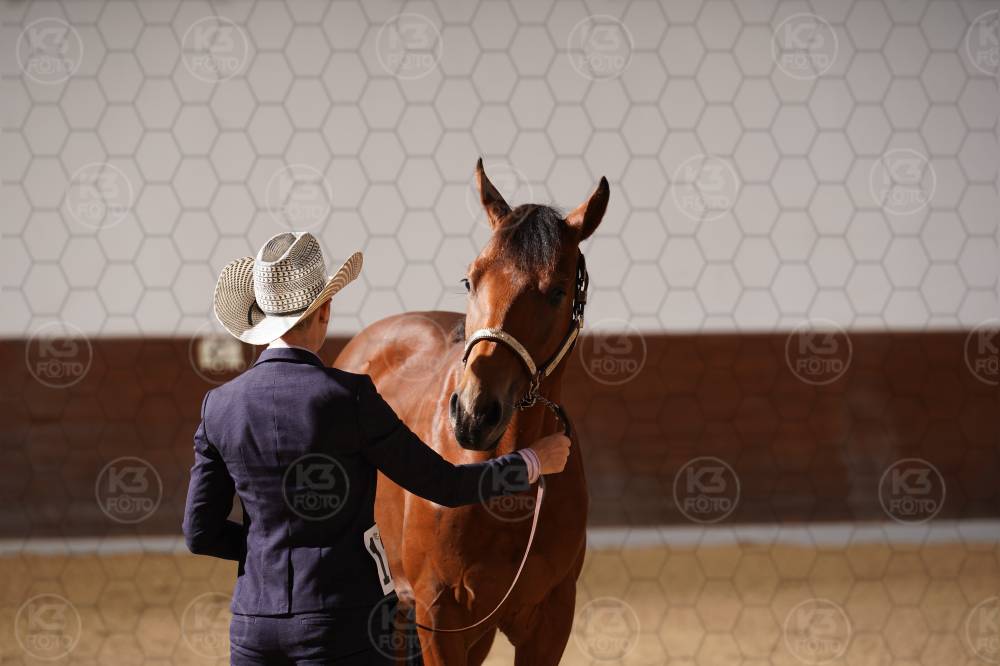 s_A9_04815.jpg
